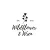 wildflower_wren